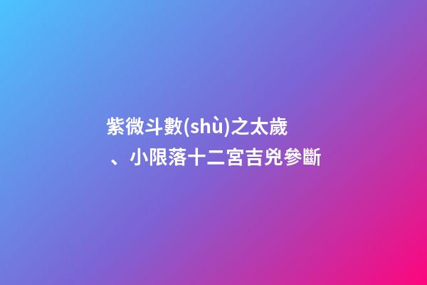 紫微斗數(shù)之太歲、小限落十二宮吉兇參斷